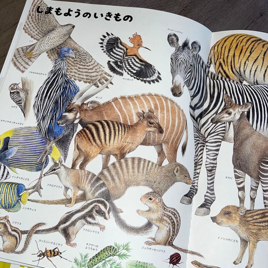 【ふらわー】いきものづくし ものづくし 10巻セット