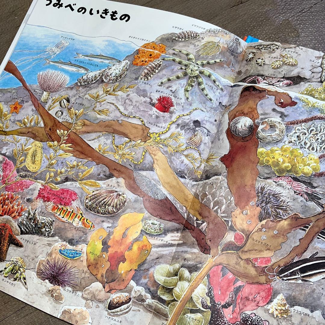 【ふらわー】いきものづくし ものづくし 10巻セット