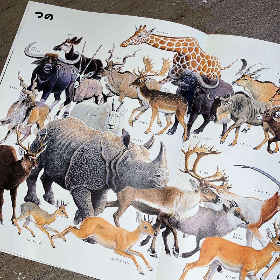 【ふらわー】いきものづくし ものづくし 10巻セット