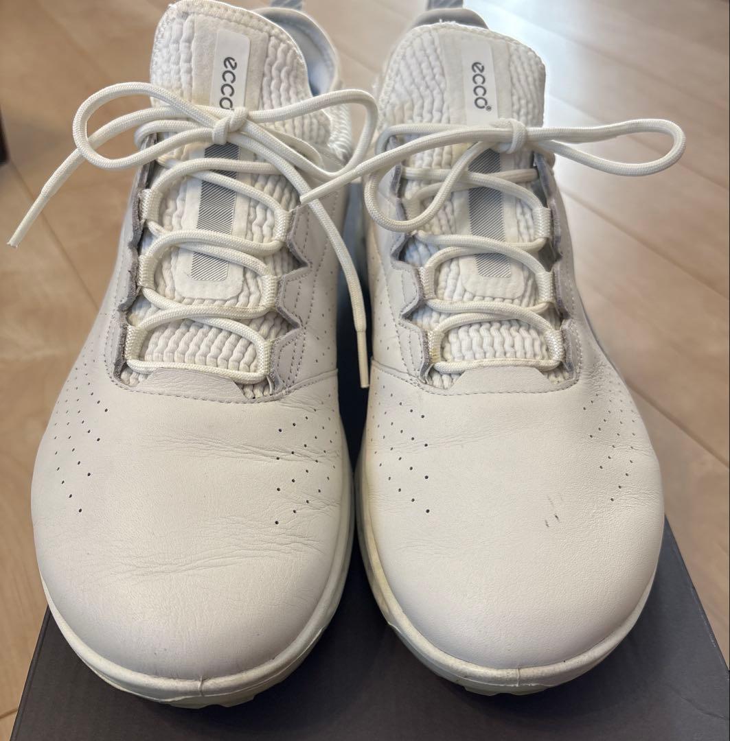 ECCO GOLFゴアテックスゴルフシューズ　25.5cm【極美品】