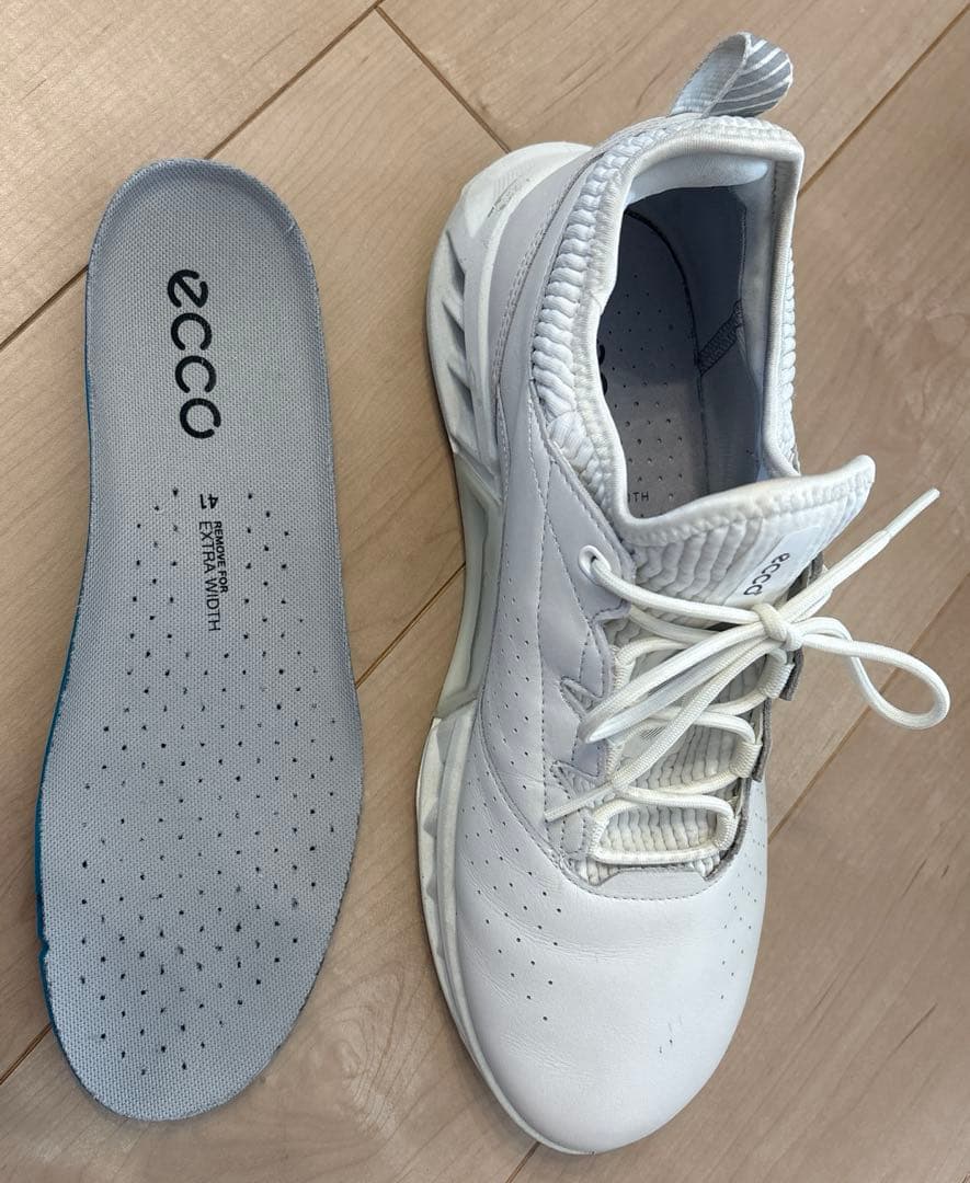 ECCO GOLFゴアテックスゴルフシューズ　25.5cm【極美品】