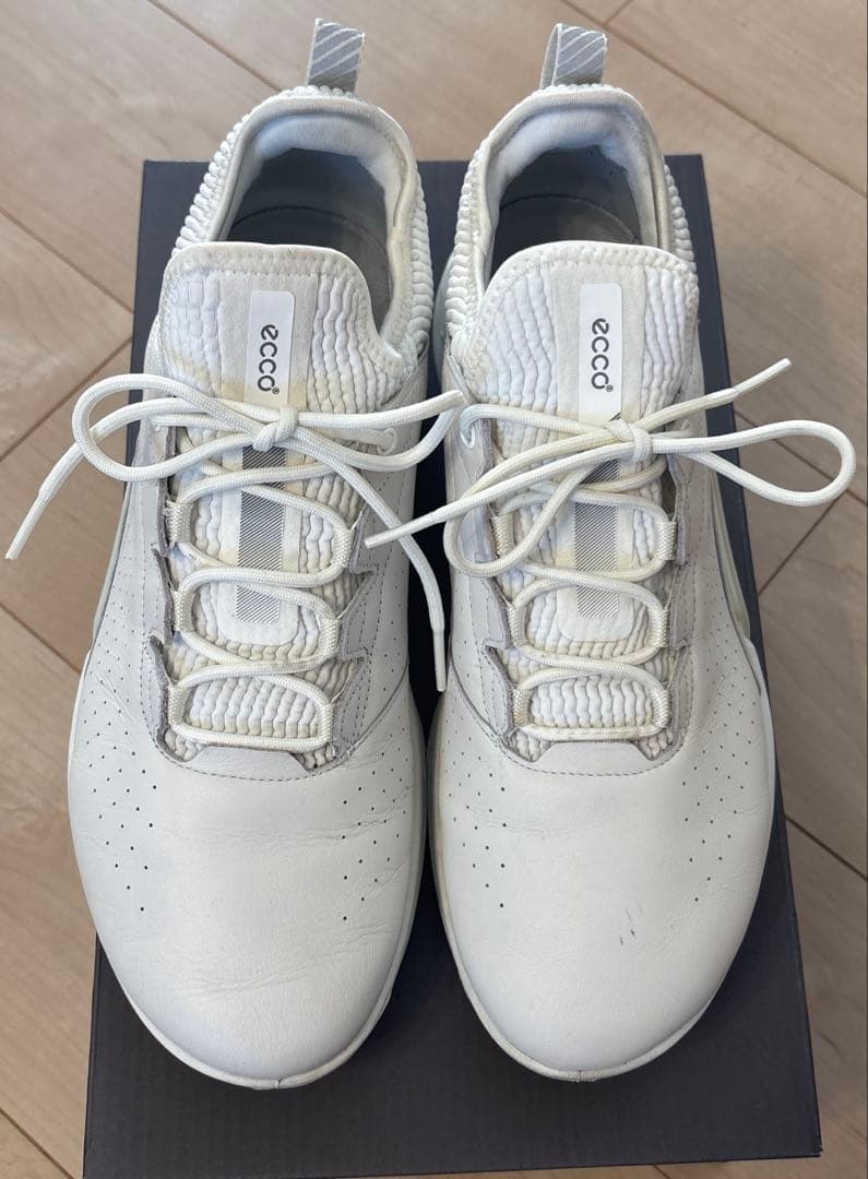ECCO GOLFゴアテックスゴルフシューズ　25.5cm【極美品】