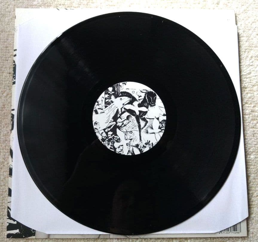 sugar me Why White Y　LPレコード