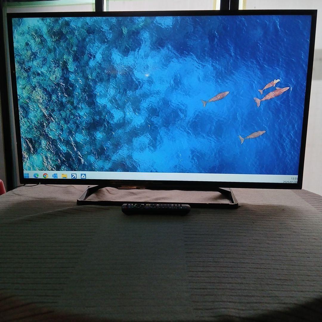 43インチ液晶TV パナソニック TH-43E300HT no.25