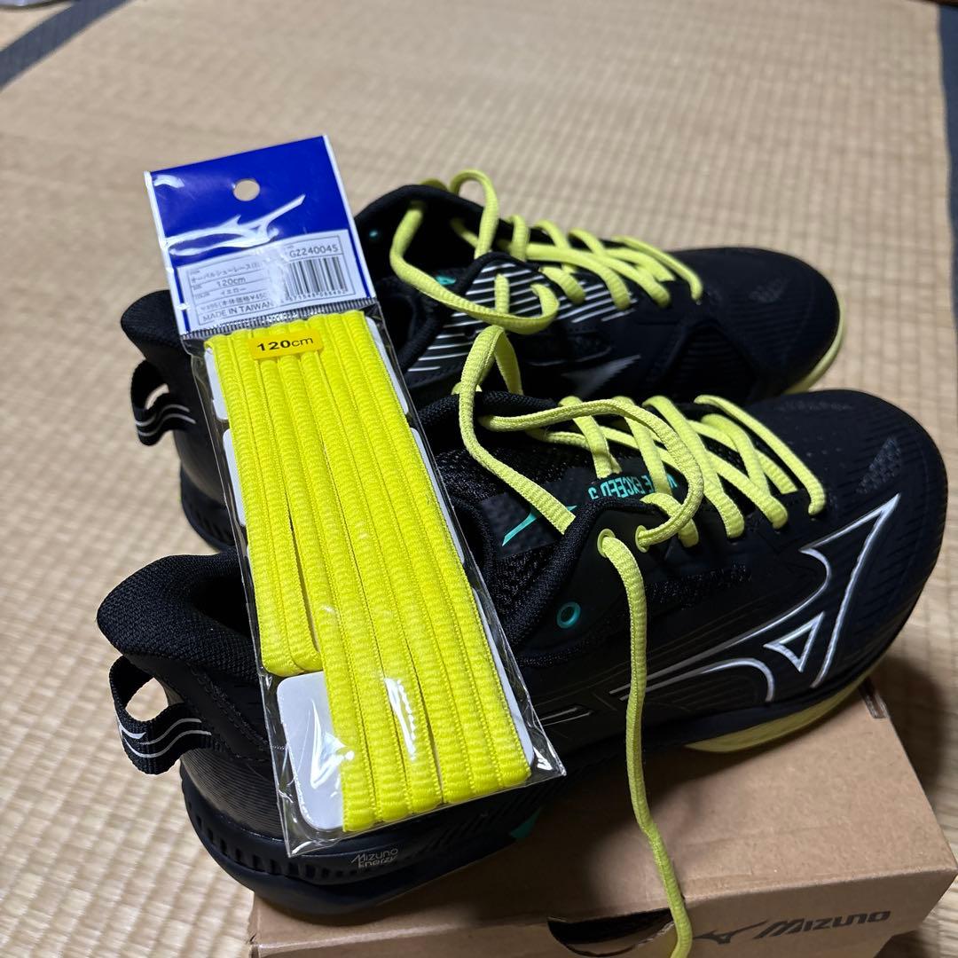 ミズノ　テニスシューズ　4E オムニクレー　26.0㎝