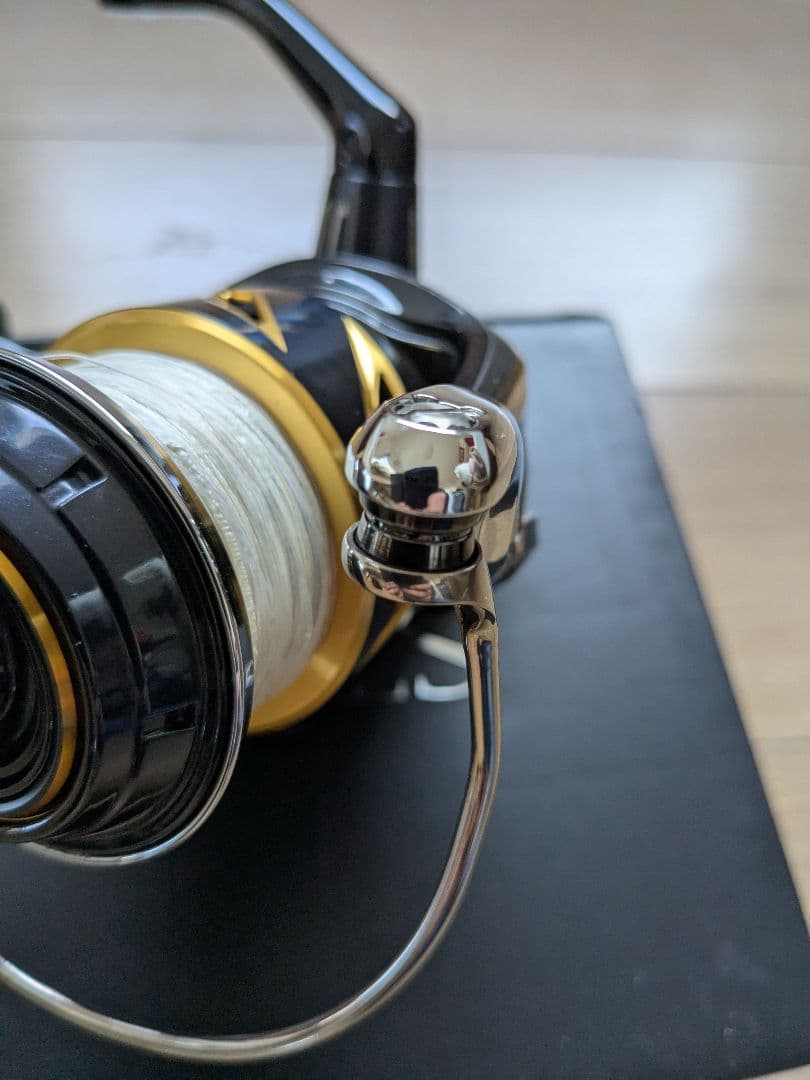 ゴールデンウィーク限定価格‼️SHIMANO 19ステラ SW8000PG