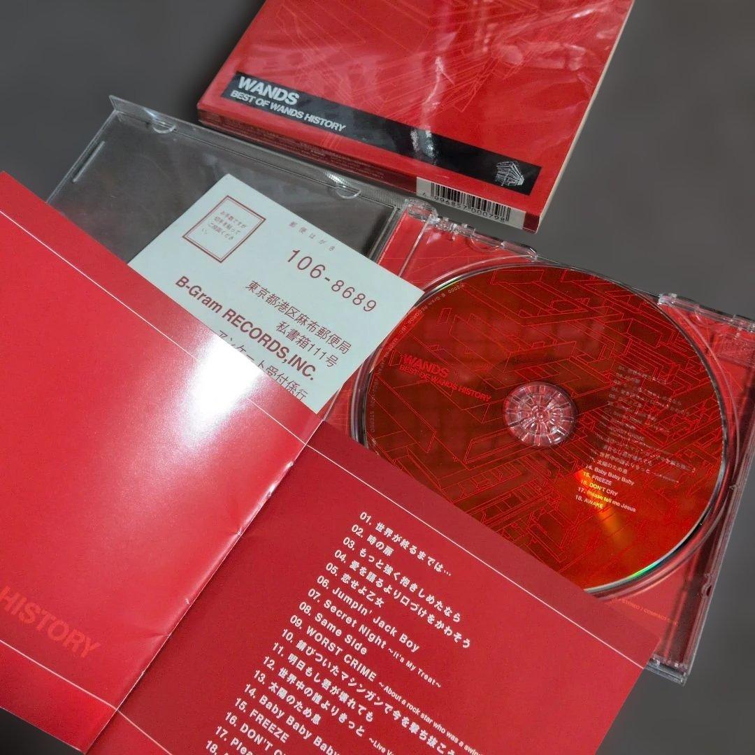邦楽 WANDS/BEST OF WANDS HISTORY