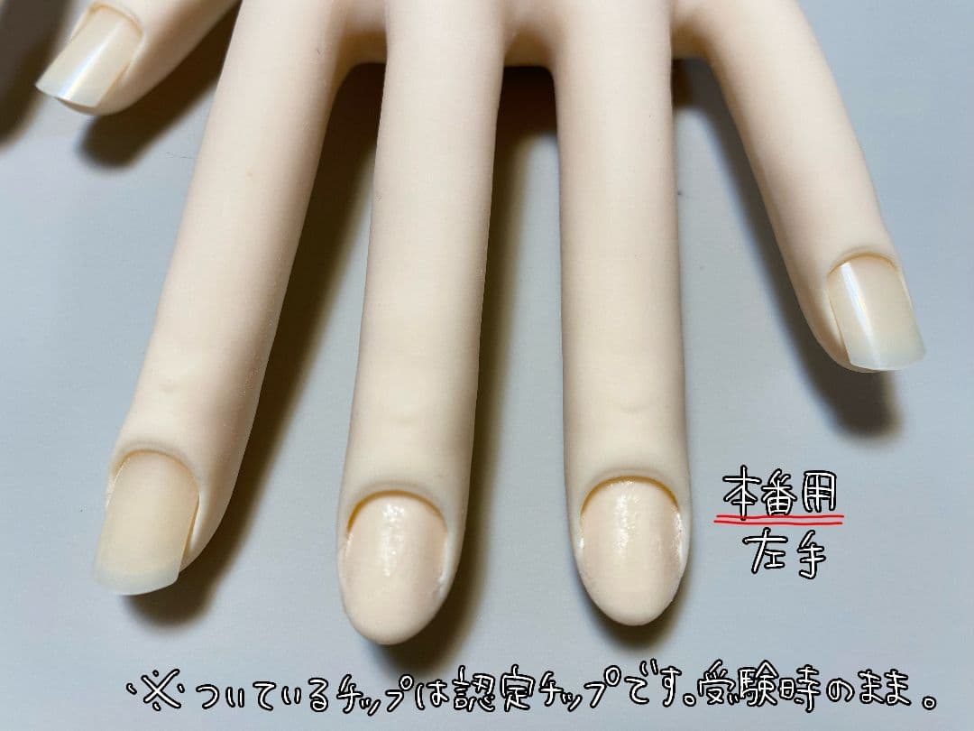 JNEC認定モデルハンド練習用＆本番用セット