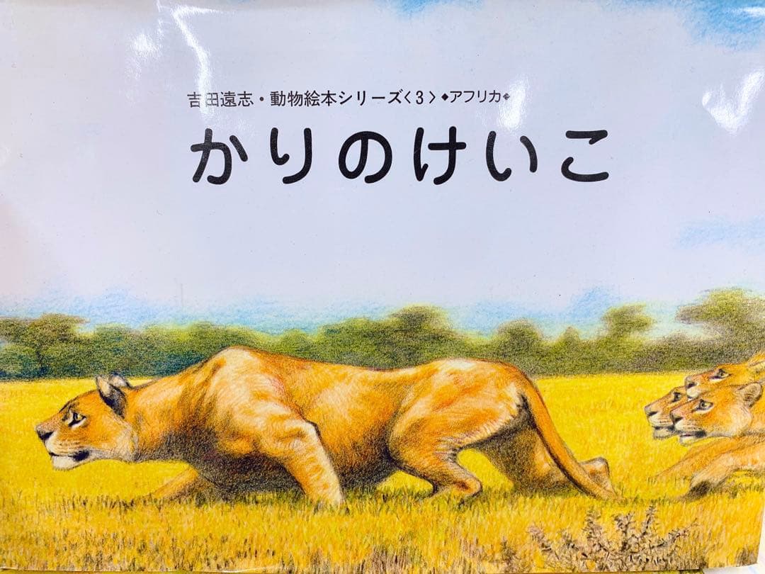 値下げ！【希少】【絶版】吉田遠志 動物絵本シリーズ アフリカ10冊セット