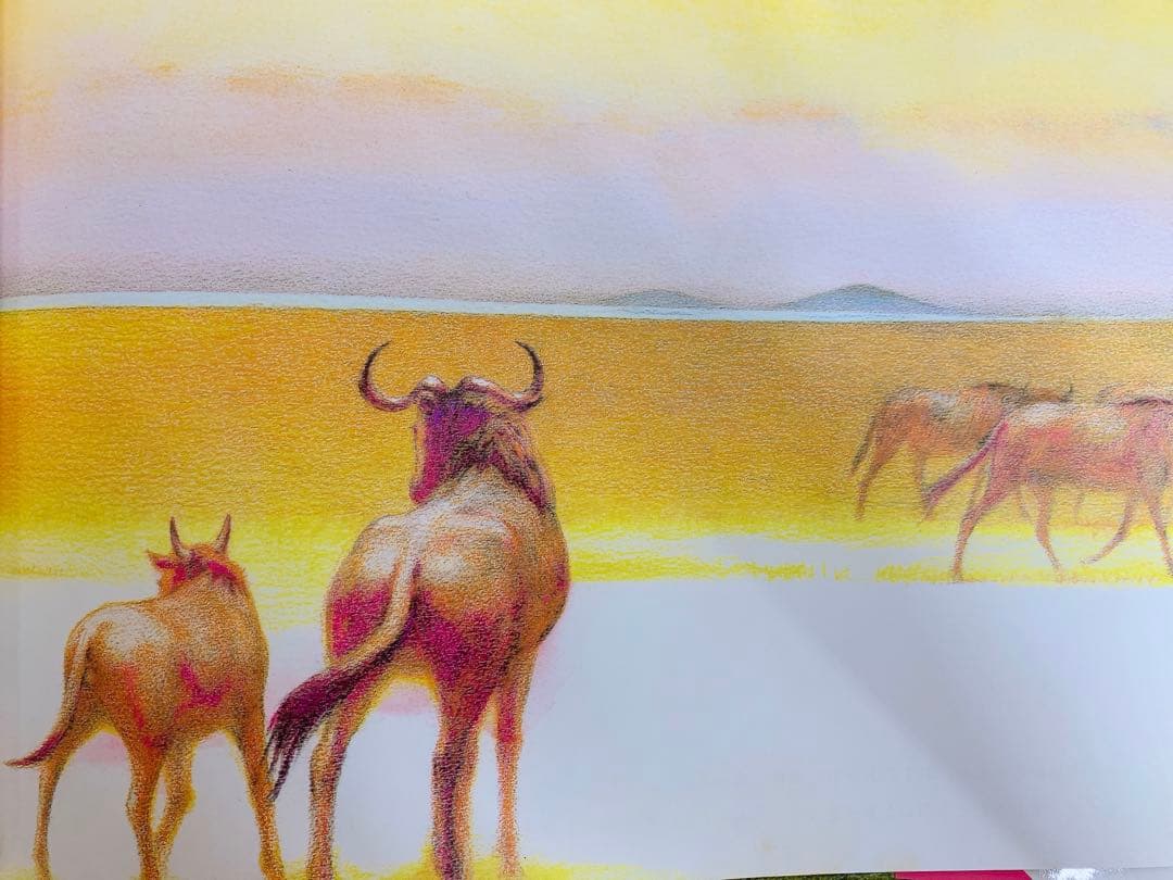 値下げ！【希少】【絶版】吉田遠志 動物絵本シリーズ アフリカ10冊セット