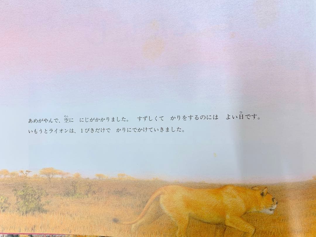 値下げ！【希少】【絶版】吉田遠志 動物絵本シリーズ アフリカ10冊セット