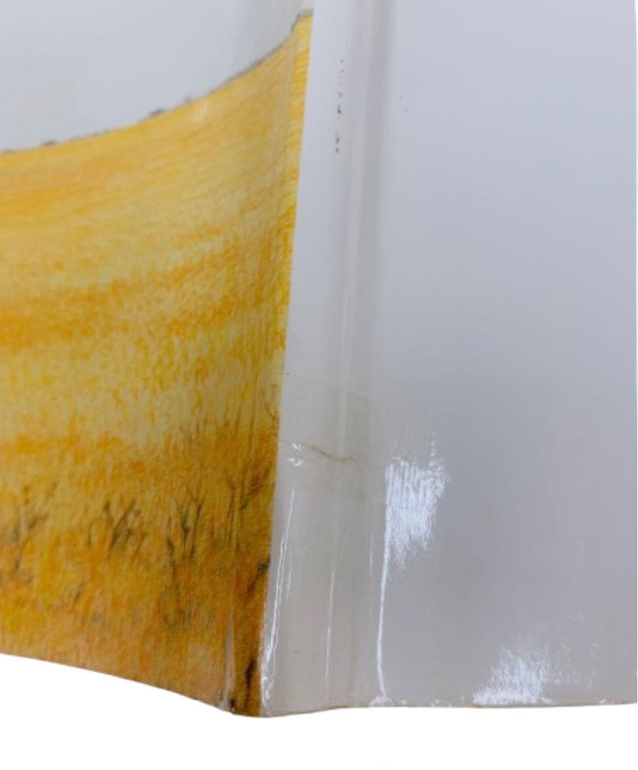 値下げ！【希少】【絶版】吉田遠志 動物絵本シリーズ アフリカ10冊セット