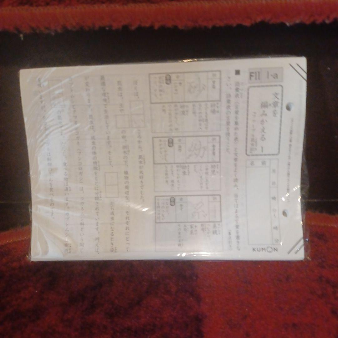 未記入　国語　F1FⅡ　400枚　解答つき