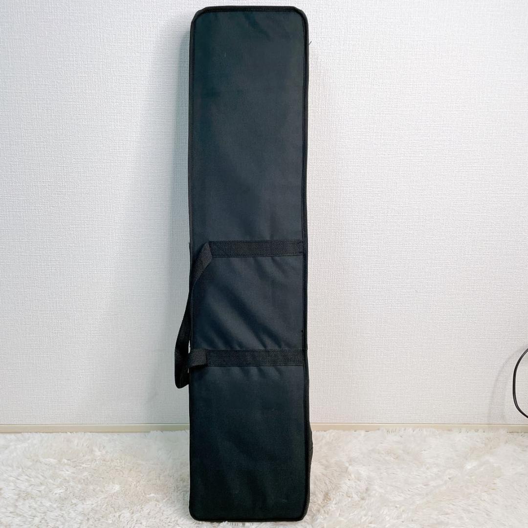 【訳あり】中国 弦楽器 二胡 ハードケース付き 蛇皮 弦楽器