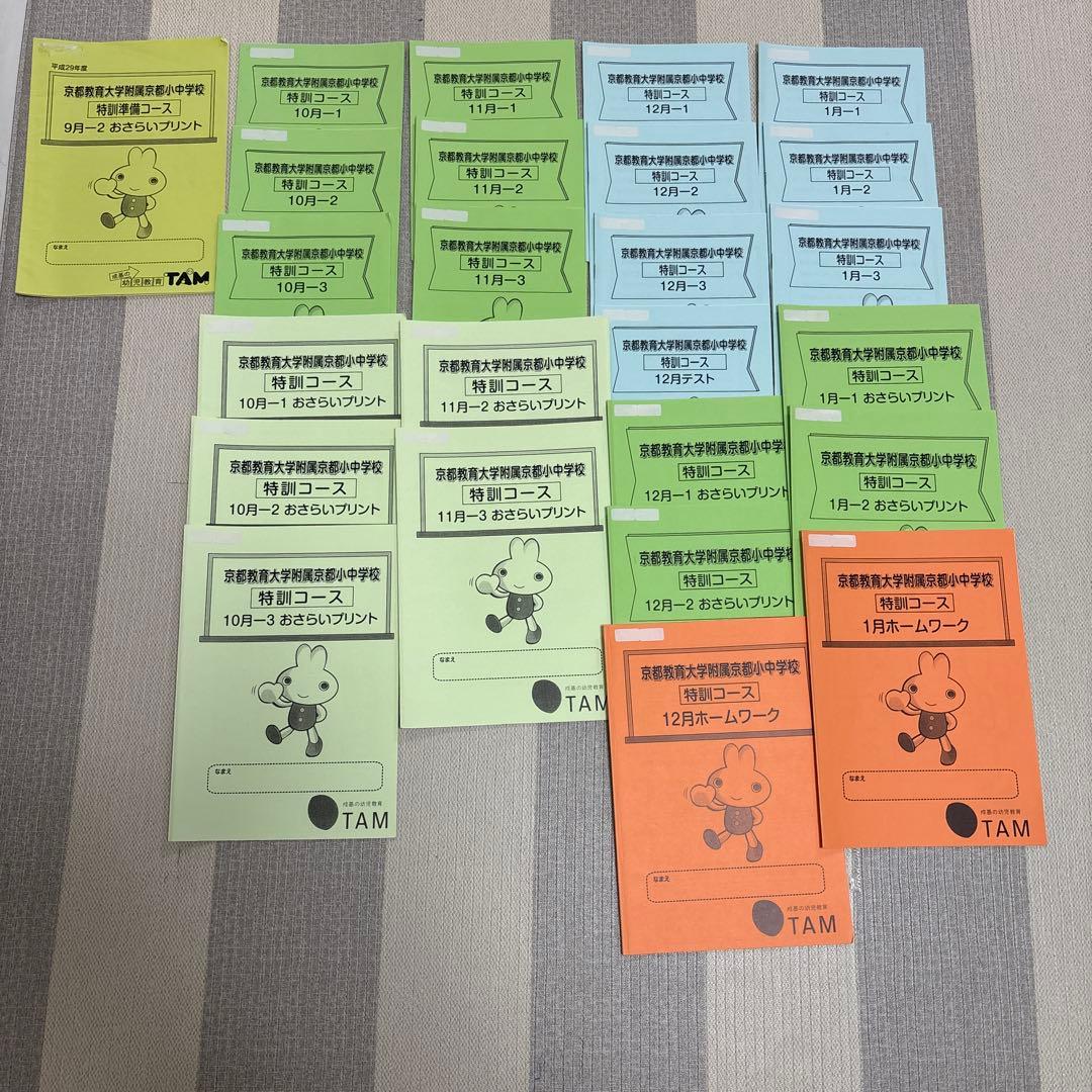 京都教育大附属小学校　プリント　TAM