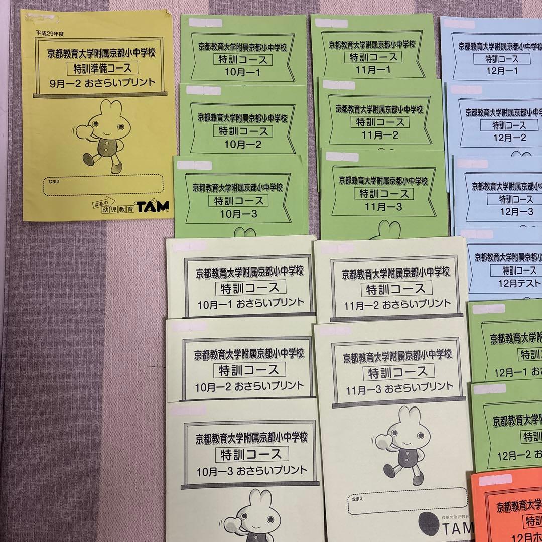 京都教育大附属小学校　プリント　TAM