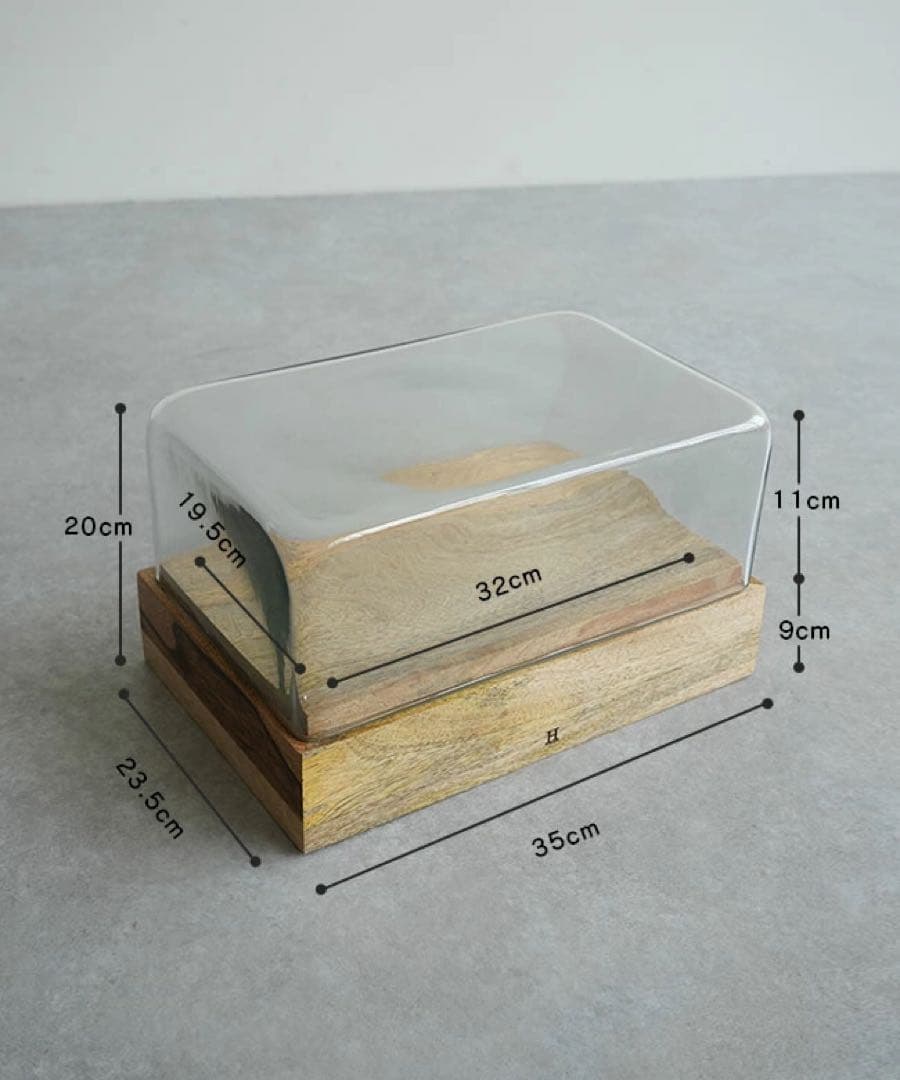 Glass Dome \"WB-RECT-2\" ガラスドーム