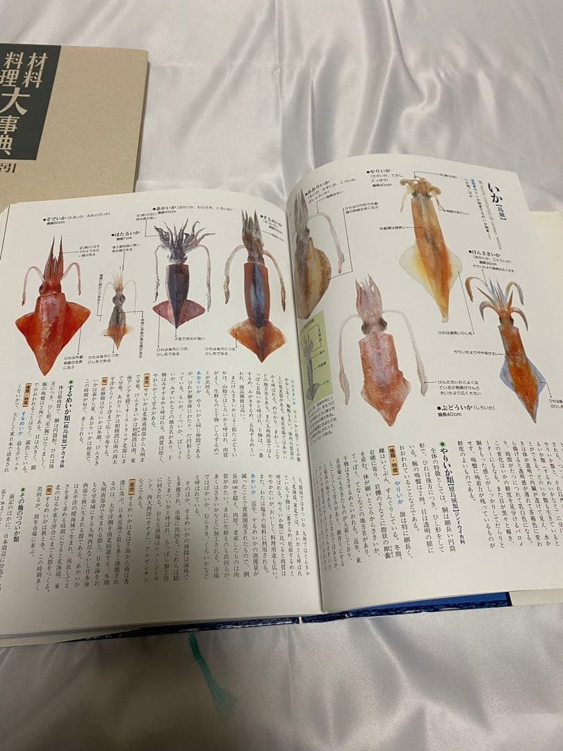 【学研】材料 料理 大辞典 4巻