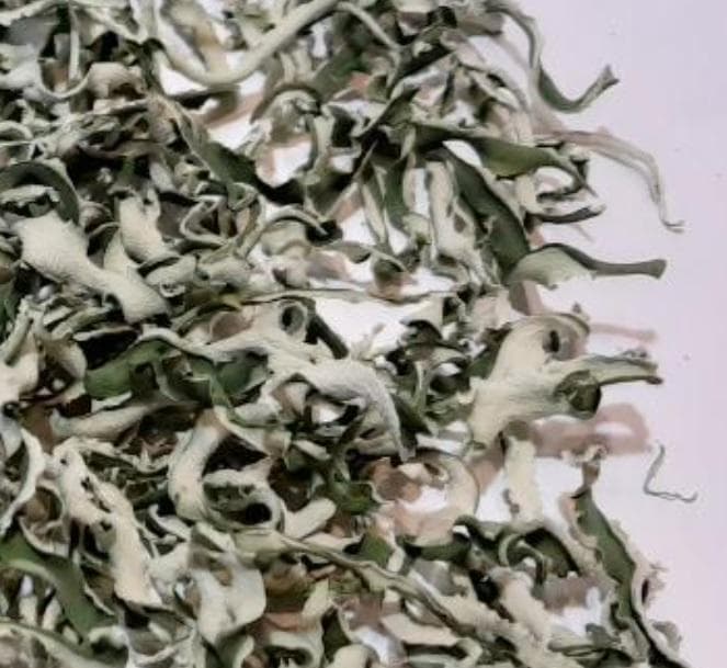 ゆうさま専用1000g　(国産・高品質)乾燥パパイヤの皮の乾燥（無農薬・有機肥料