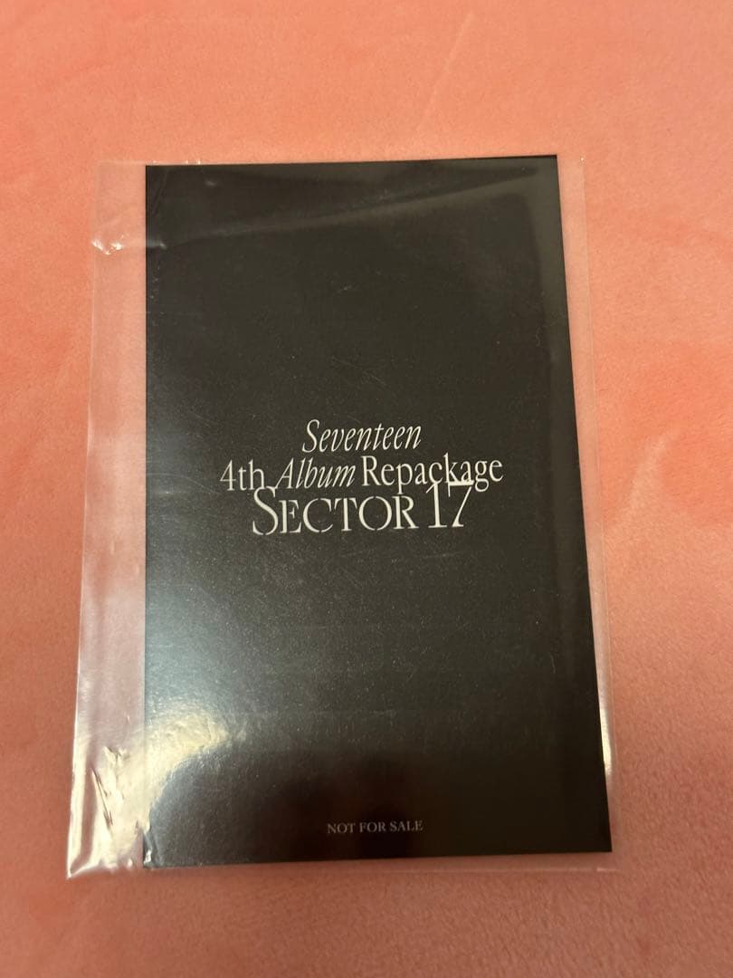 SEVENTEEN スングァン ラキドロ sector17