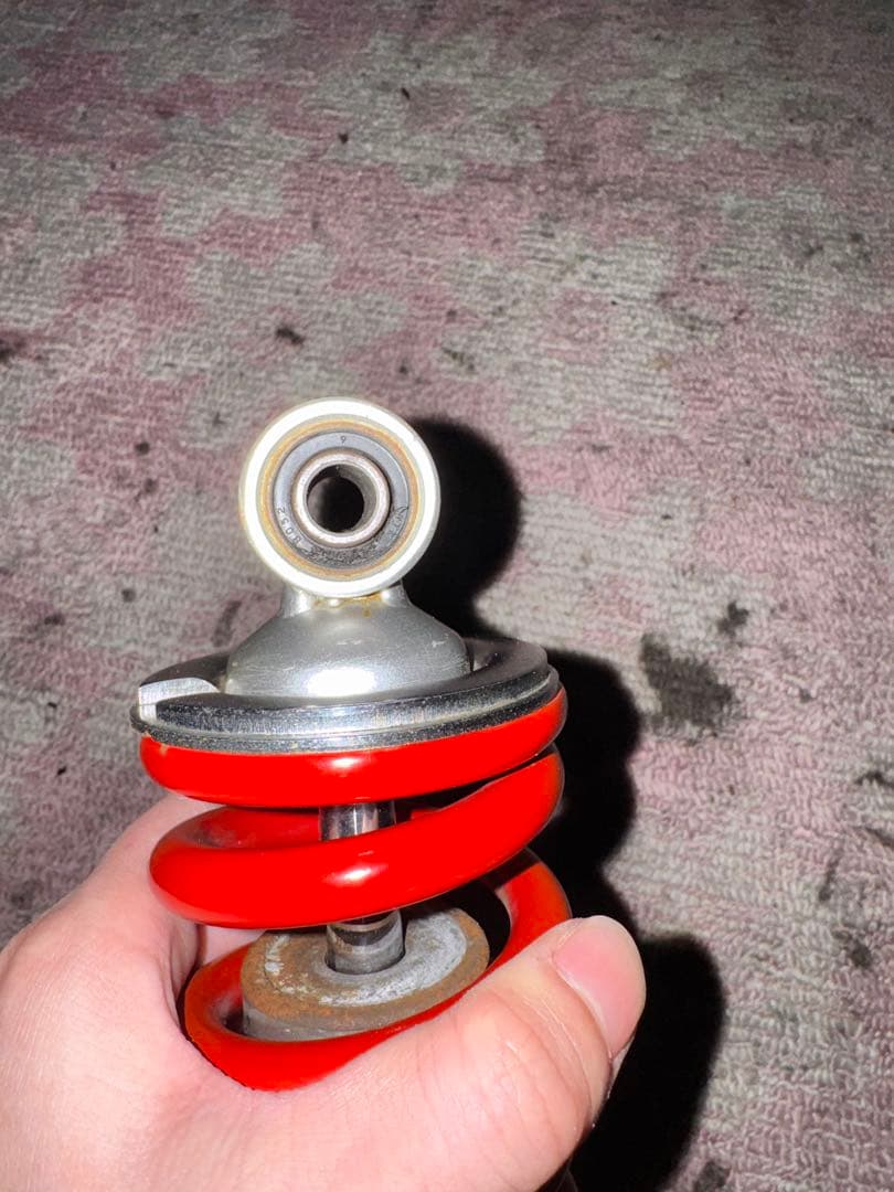 タケガワサス　エイプ