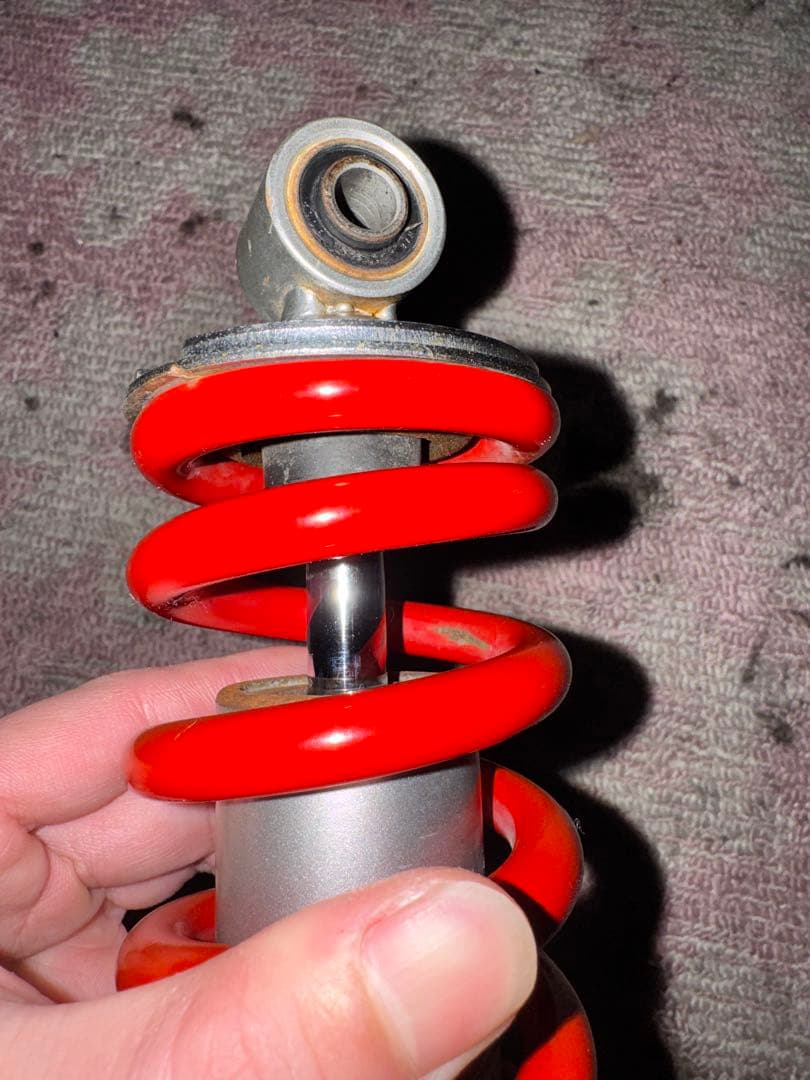 タケガワサス　エイプ