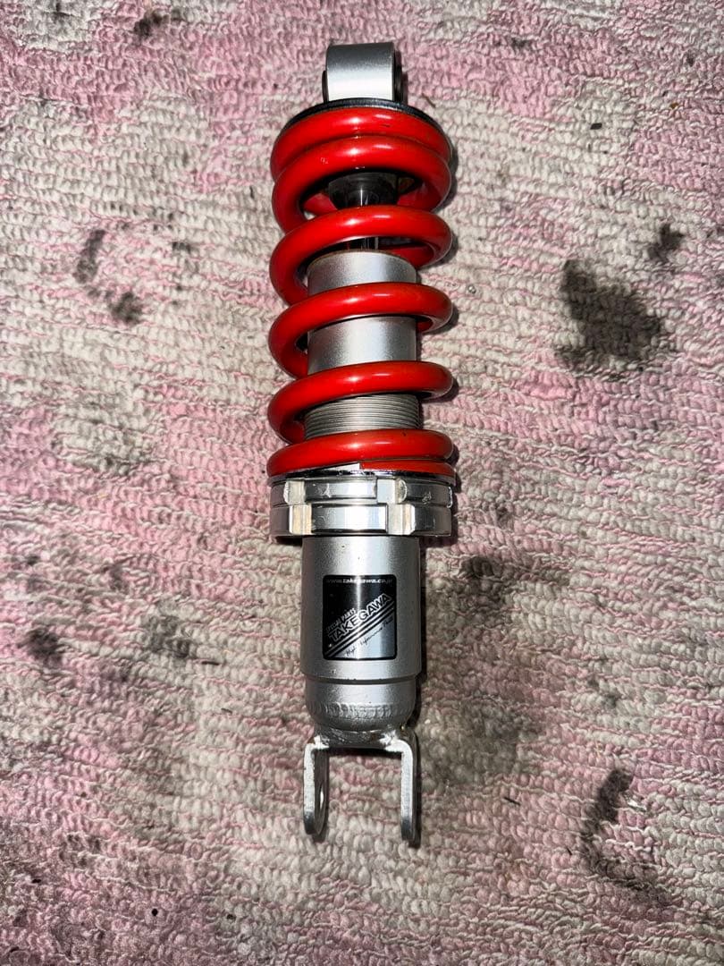 タケガワサス　エイプ