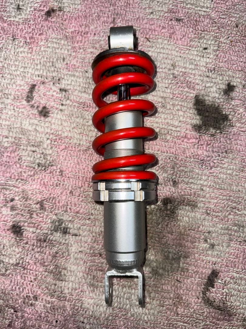 タケガワサス　エイプ