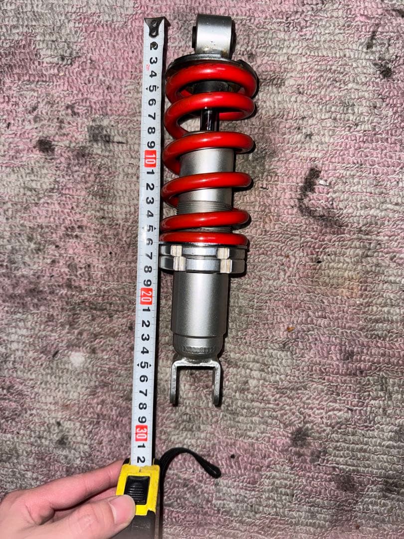 タケガワサス　エイプ