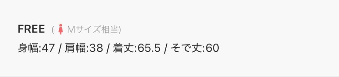 6(ROKU)シアー ベロア シャツプルオーバー 25FW レディース