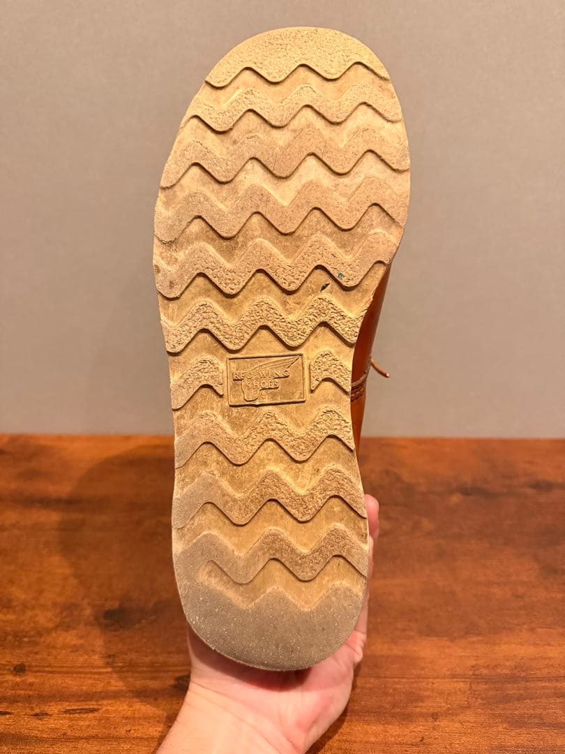 Redwing 875 アイリッシュセッター　サイド羽タグ US8.5E