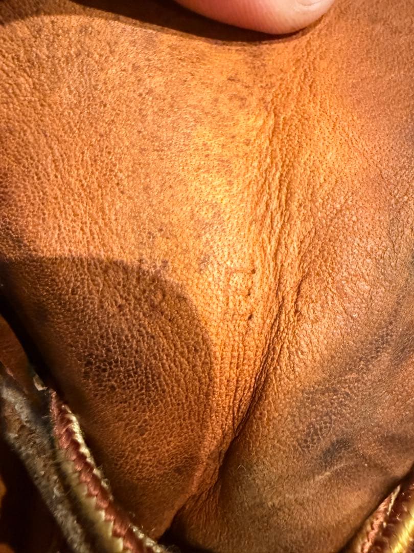 Redwing 875 アイリッシュセッター　サイド羽タグ US8.5E