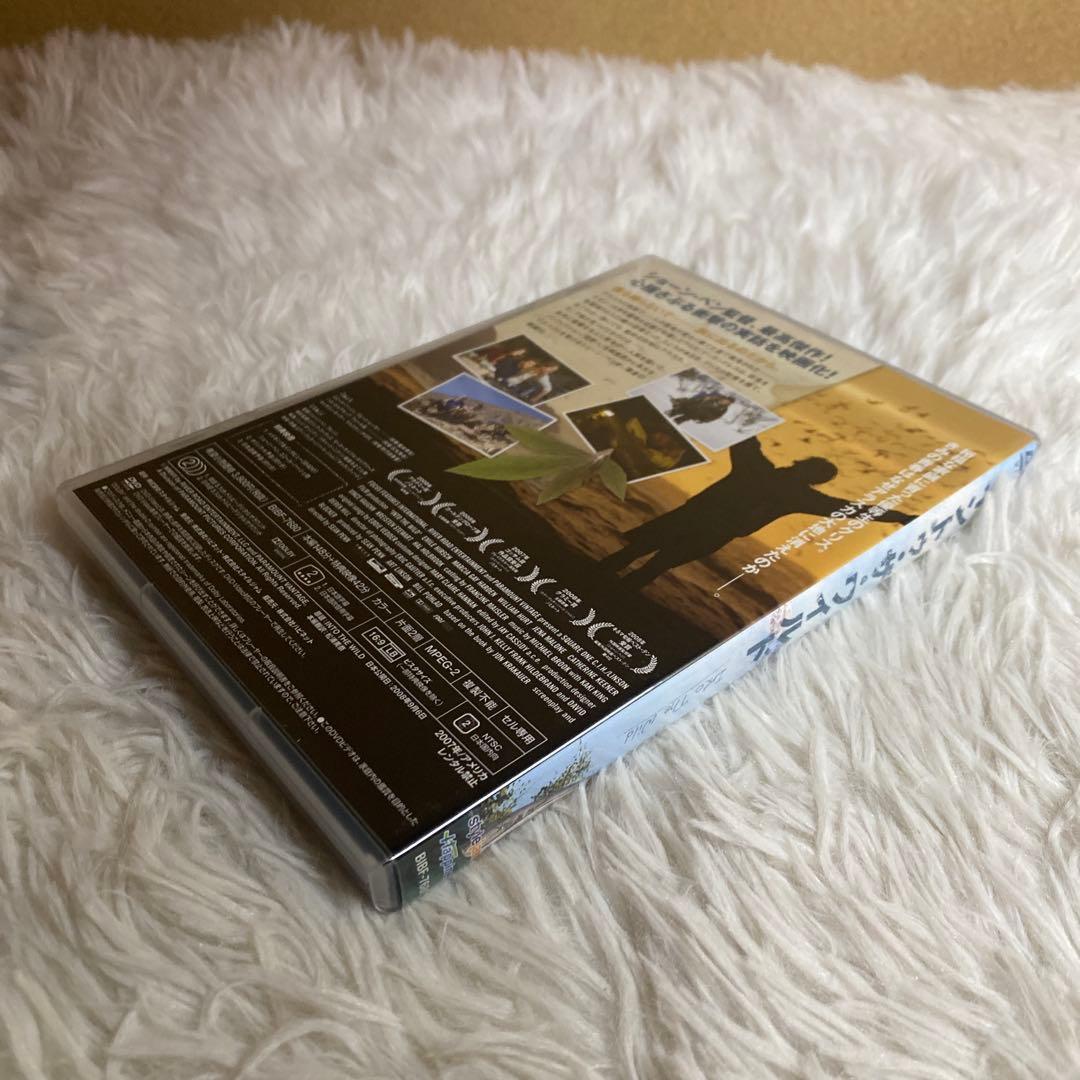 【中古】DVD INTO THE WILD