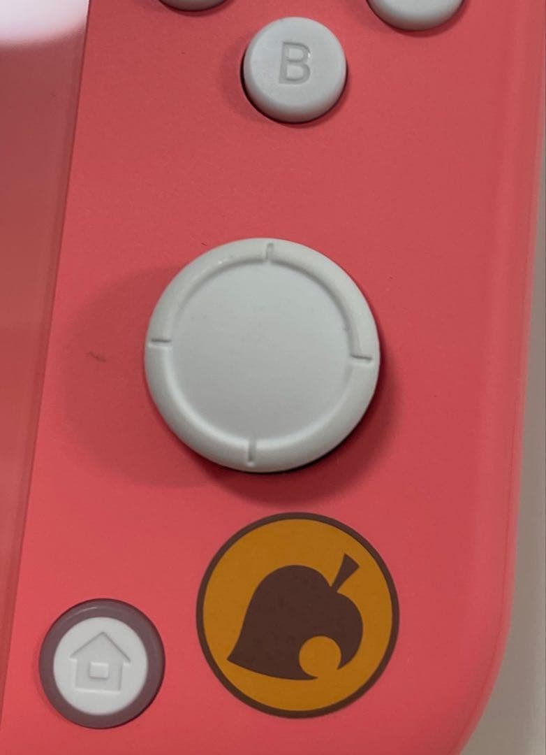 HitomiKNintendo Switch Lite あつまれ どうぶつ