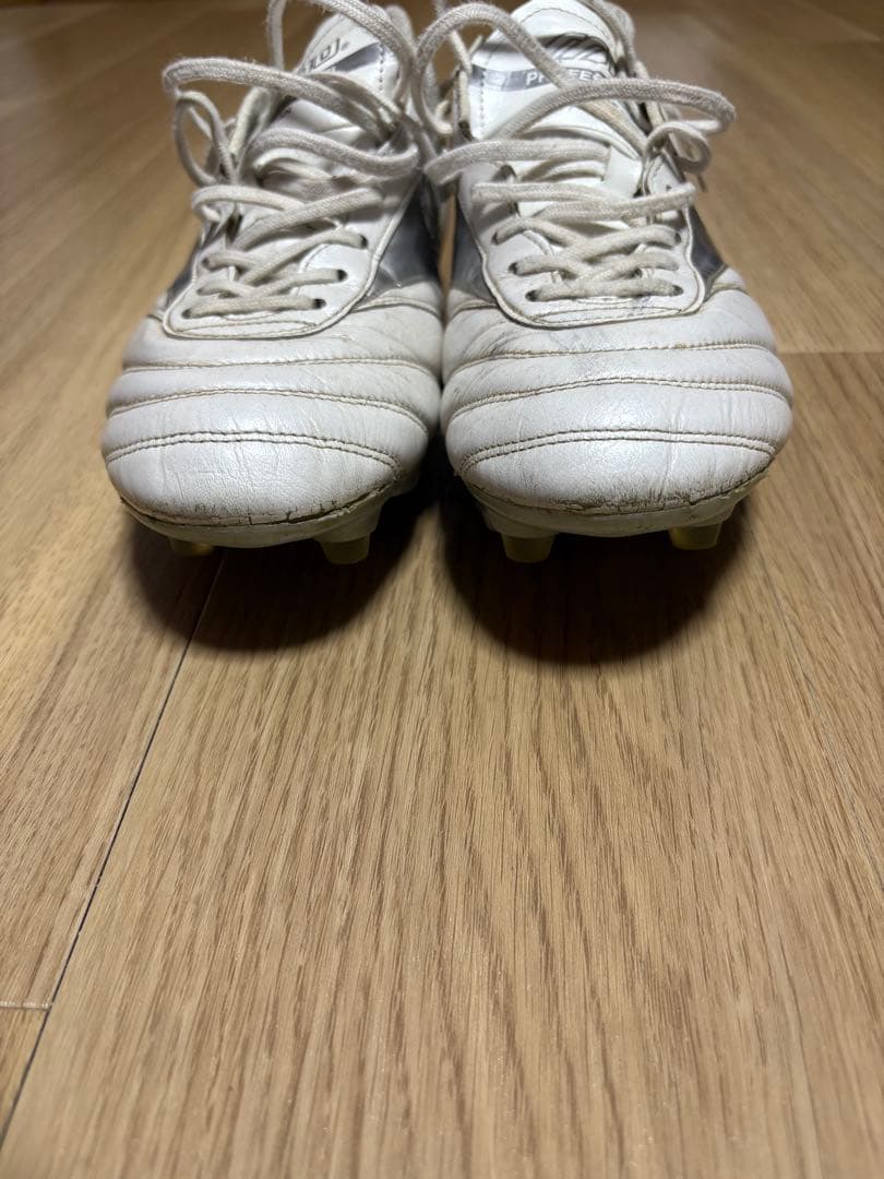 ミズノ モレリア DNA MIX