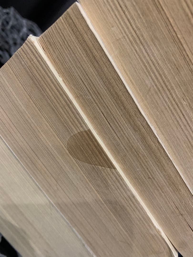 Robert Ludlum 小説セット 9冊