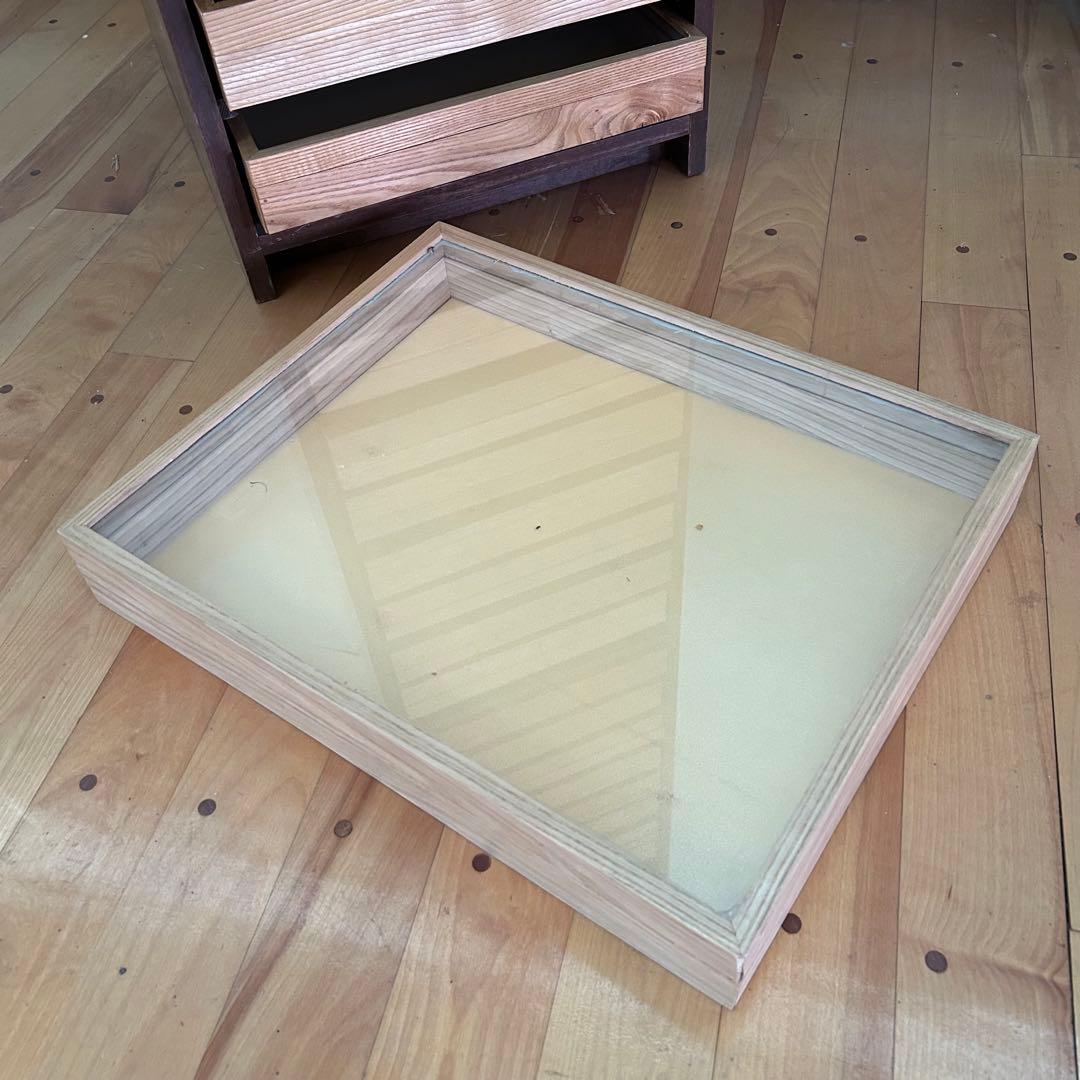 【希少・特大】 標本棚 標本箱 17杯