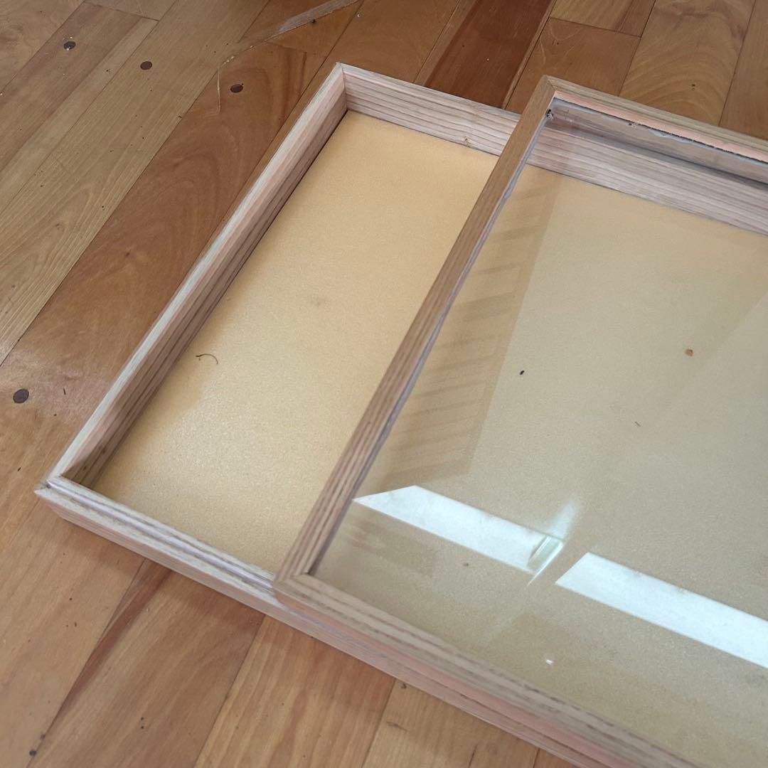 【希少・特大】 標本棚 標本箱 17杯