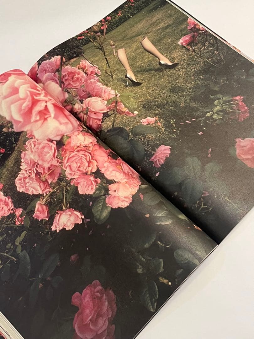 ACNE PAPER issue 6 ギーブルダン　purple dutch