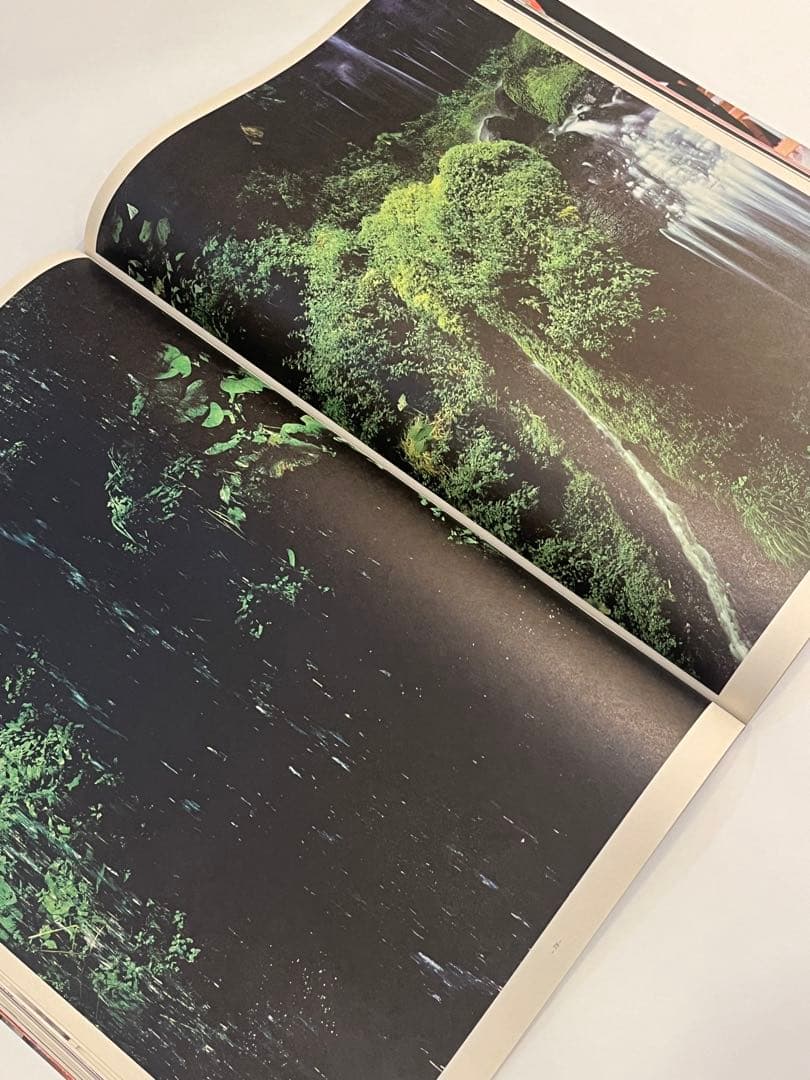 ACNE PAPER issue 6 ギーブルダン　purple dutch