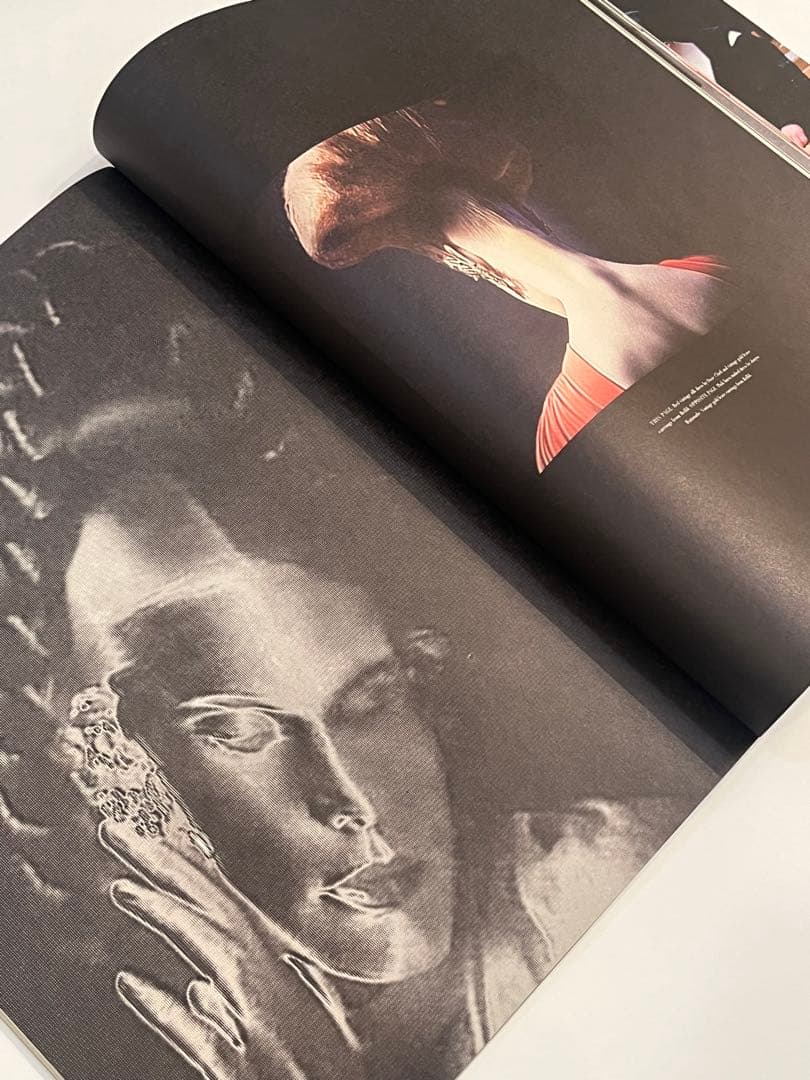 ACNE PAPER issue 6 ギーブルダン　purple dutch