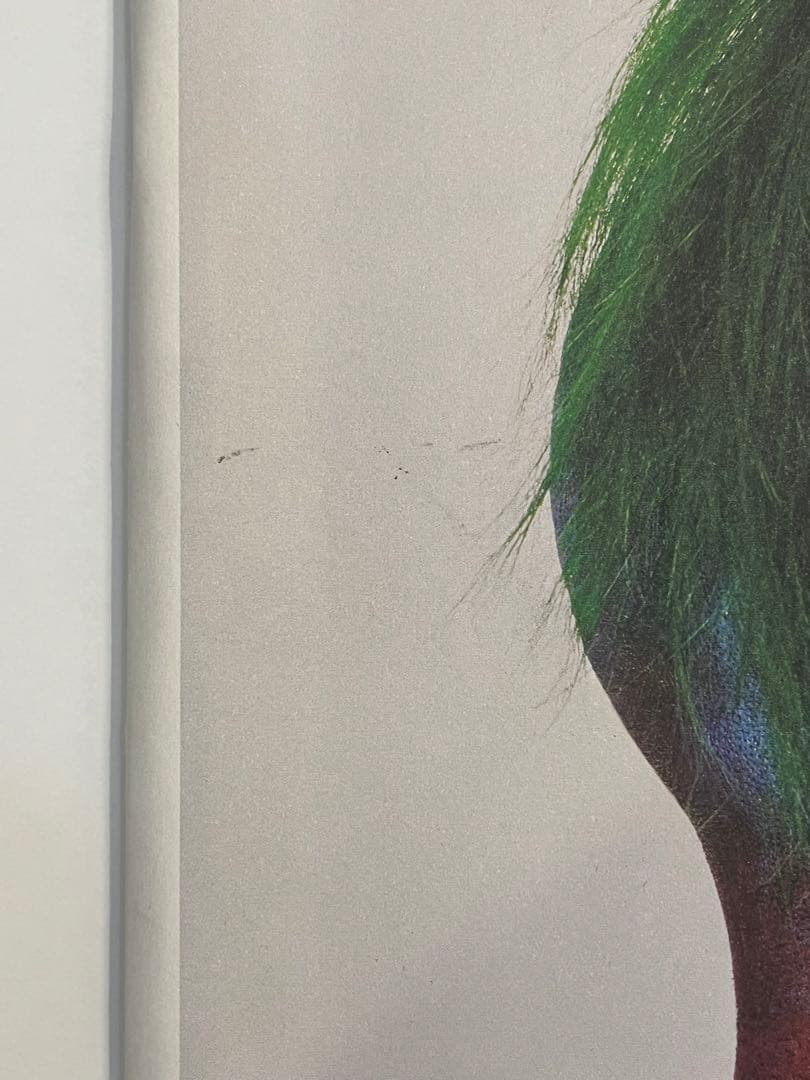 ACNE PAPER issue 6 ギーブルダン　purple dutch