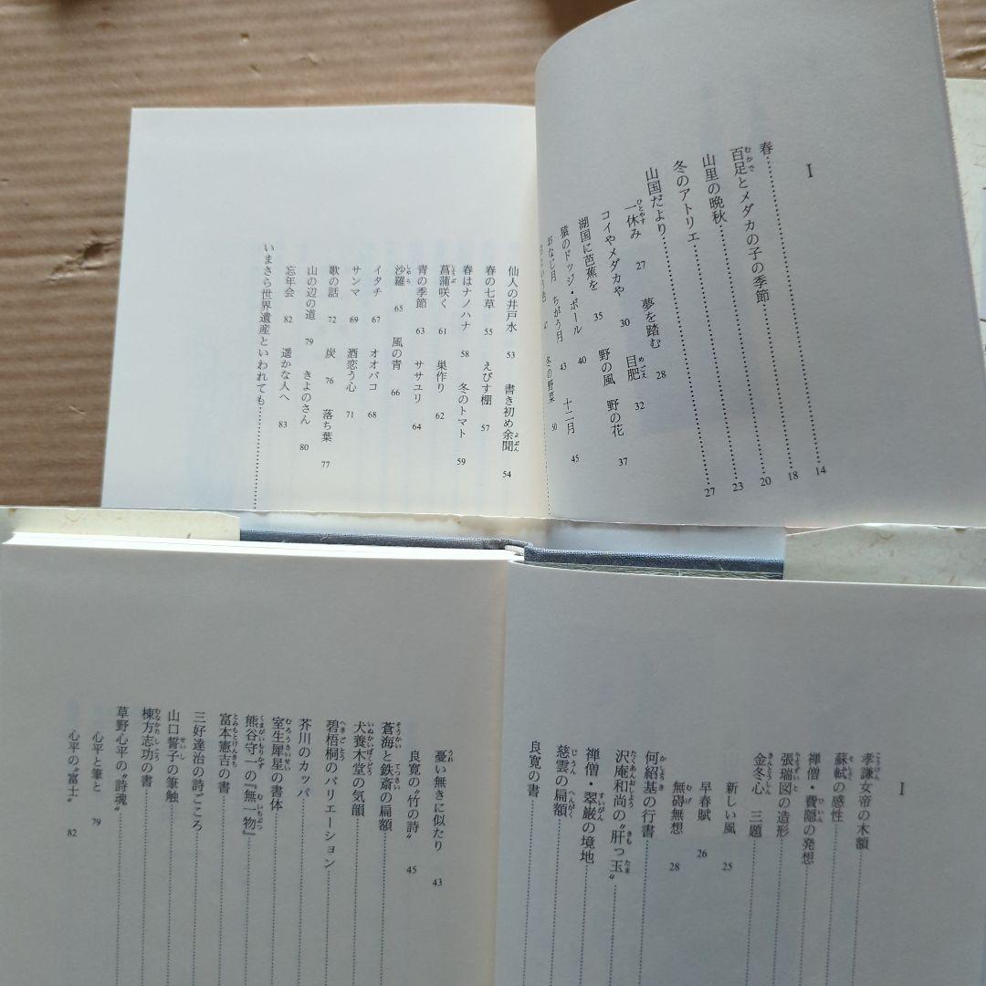 榊莫山　莫山夢幻　莫山美学　書の歴史　中国と日本　書道　習字　毛筆　書画　絵画