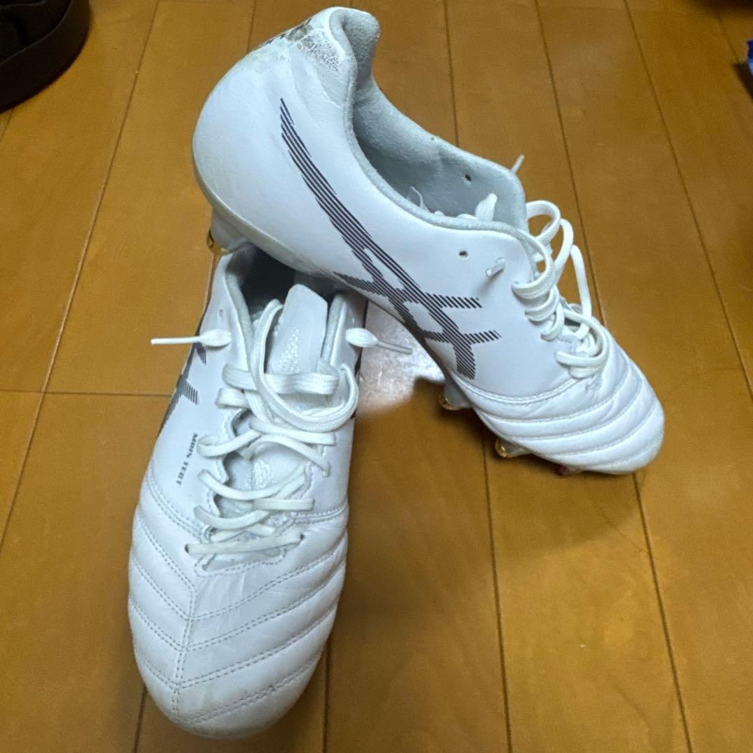 取替式ASICS DS LIGHT X-Fly PRO 25.0cm