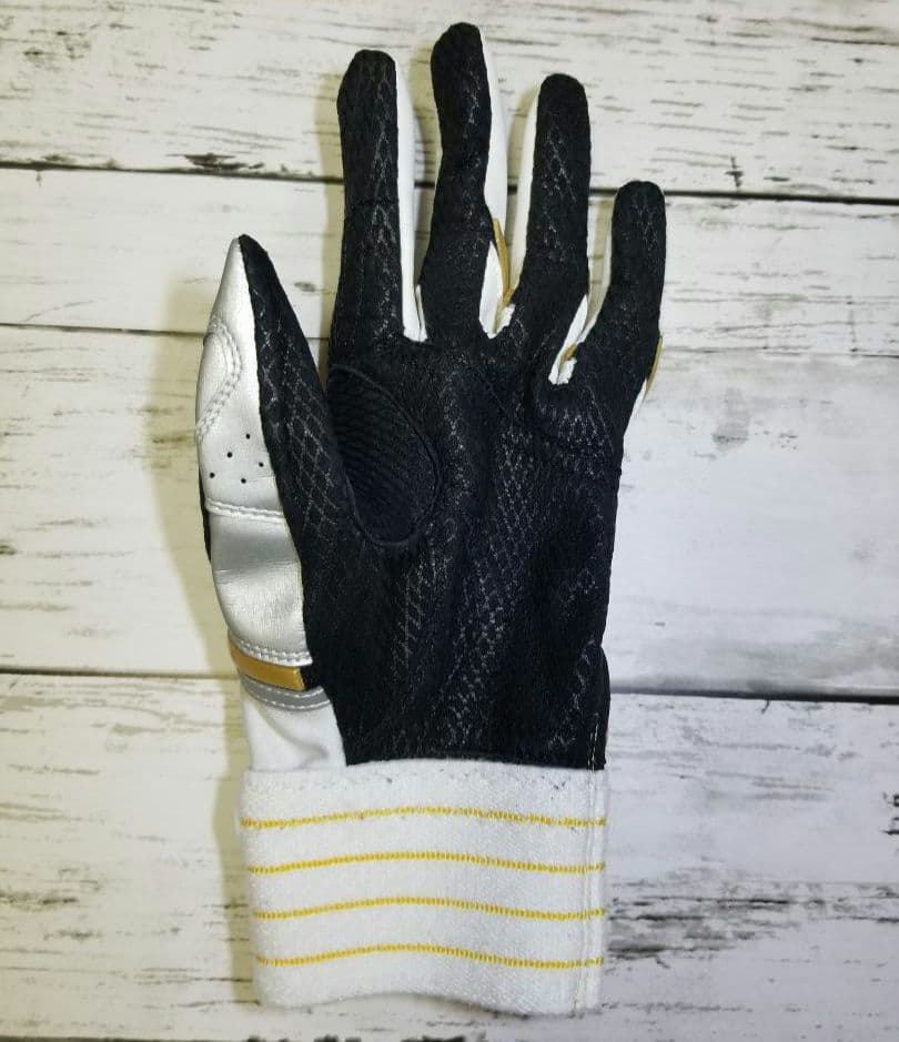 ミズノプロ バッティンググローブ オーダー 22cm