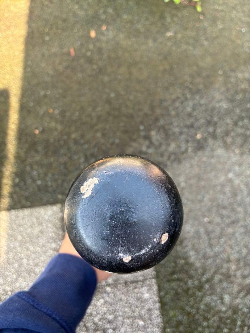 ZETT PROSTATUS 木製バット　　【プロ支給品】 NPB 戸柱恭孝選手