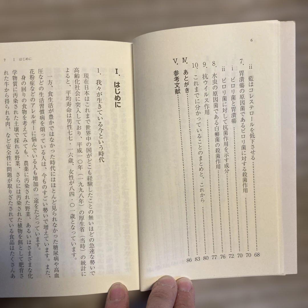 絶版希少本　藍 医色同源　岩城完三、栗本雅司　2001年　薬用植物としての藍