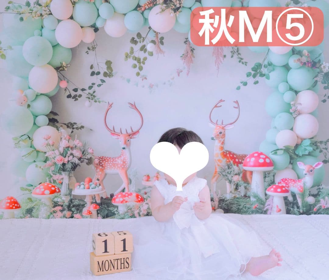 背景布×5+1　ペット撮影用フォトブース　トリミングチョーカー販売中　薔薇　梅雨