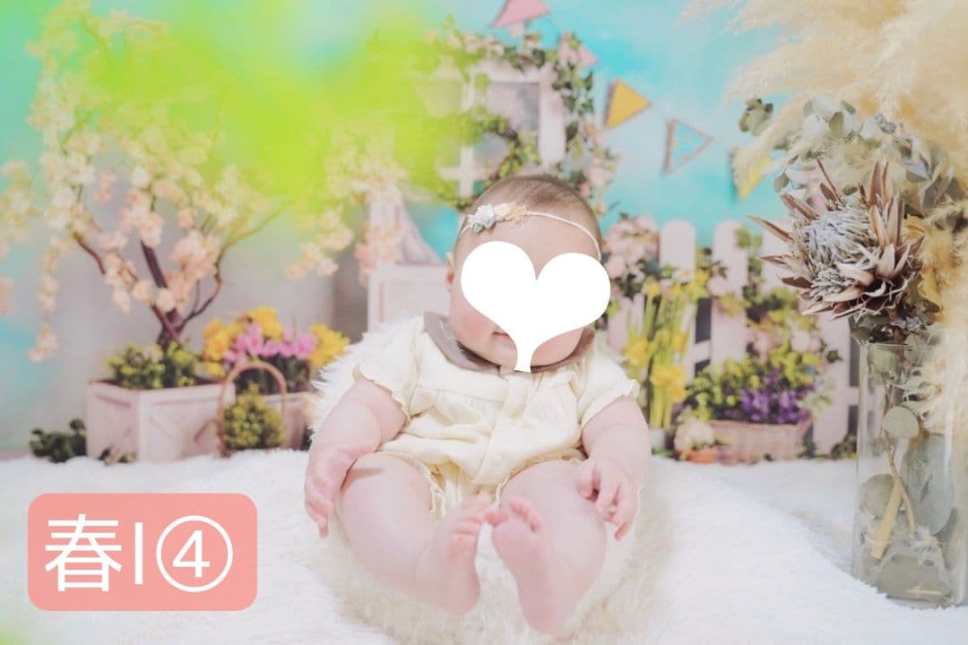 背景布×5+1　ペット撮影用フォトブース　トリミングチョーカー販売中　薔薇　梅雨