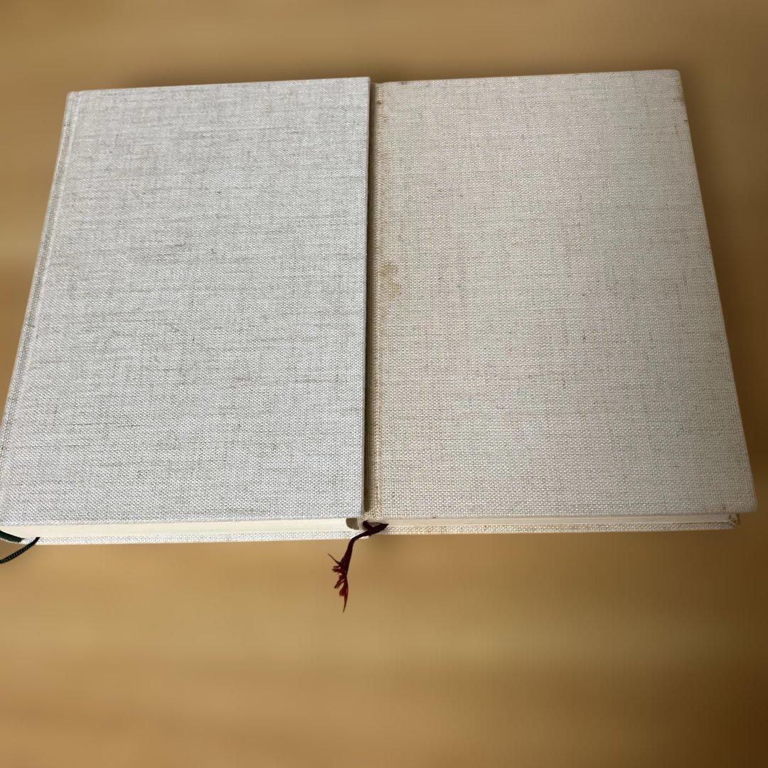 フーコー・コレクション　フーコー・ガイドブック　監獄の誕生　言葉と物